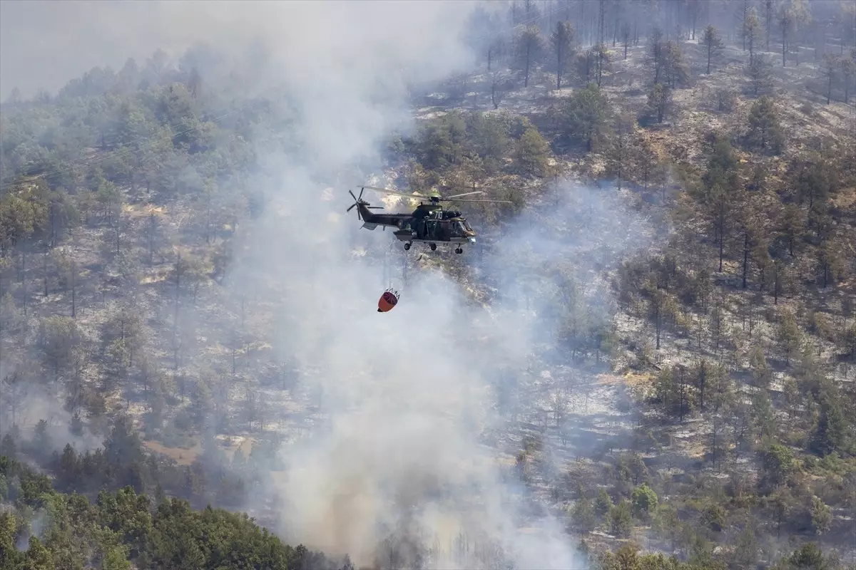 sakar daginda yanginla mucadele devam ediyor 5fFRNIy8