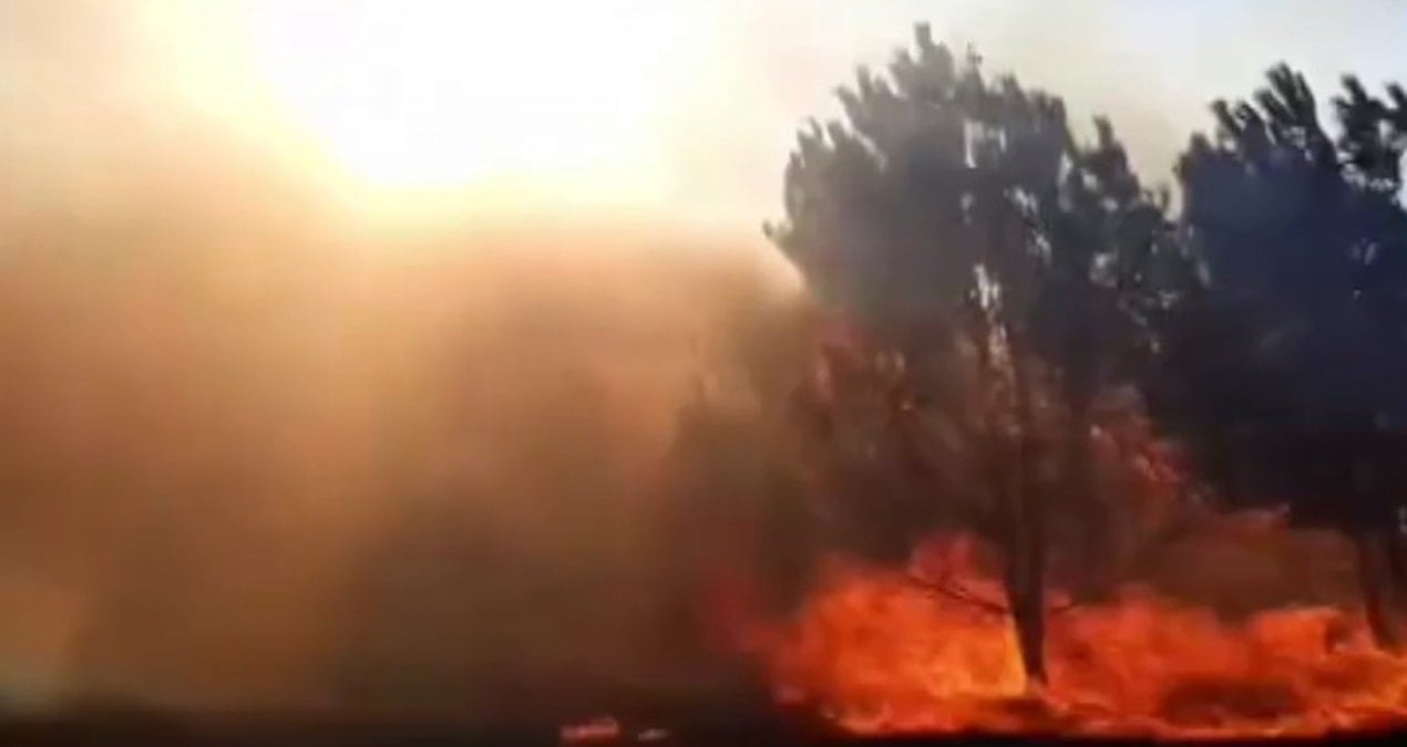 bursada ekipleri harekete geciren orman yangini GExwEtVE