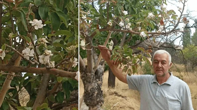 koyluler inanamadi hayatimda ilk kez karsilastim zM4P7GQV