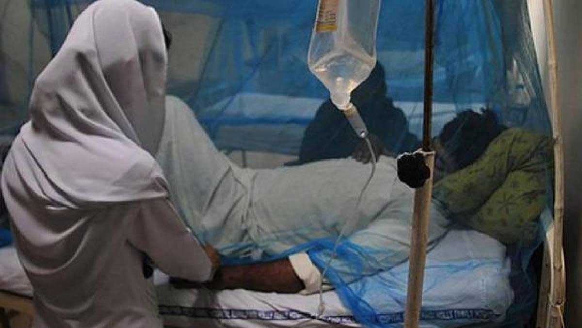 nijeryada lassa atesi nedeniyle olenlerin sayisi 162ye yukseldi xSe3VMVT