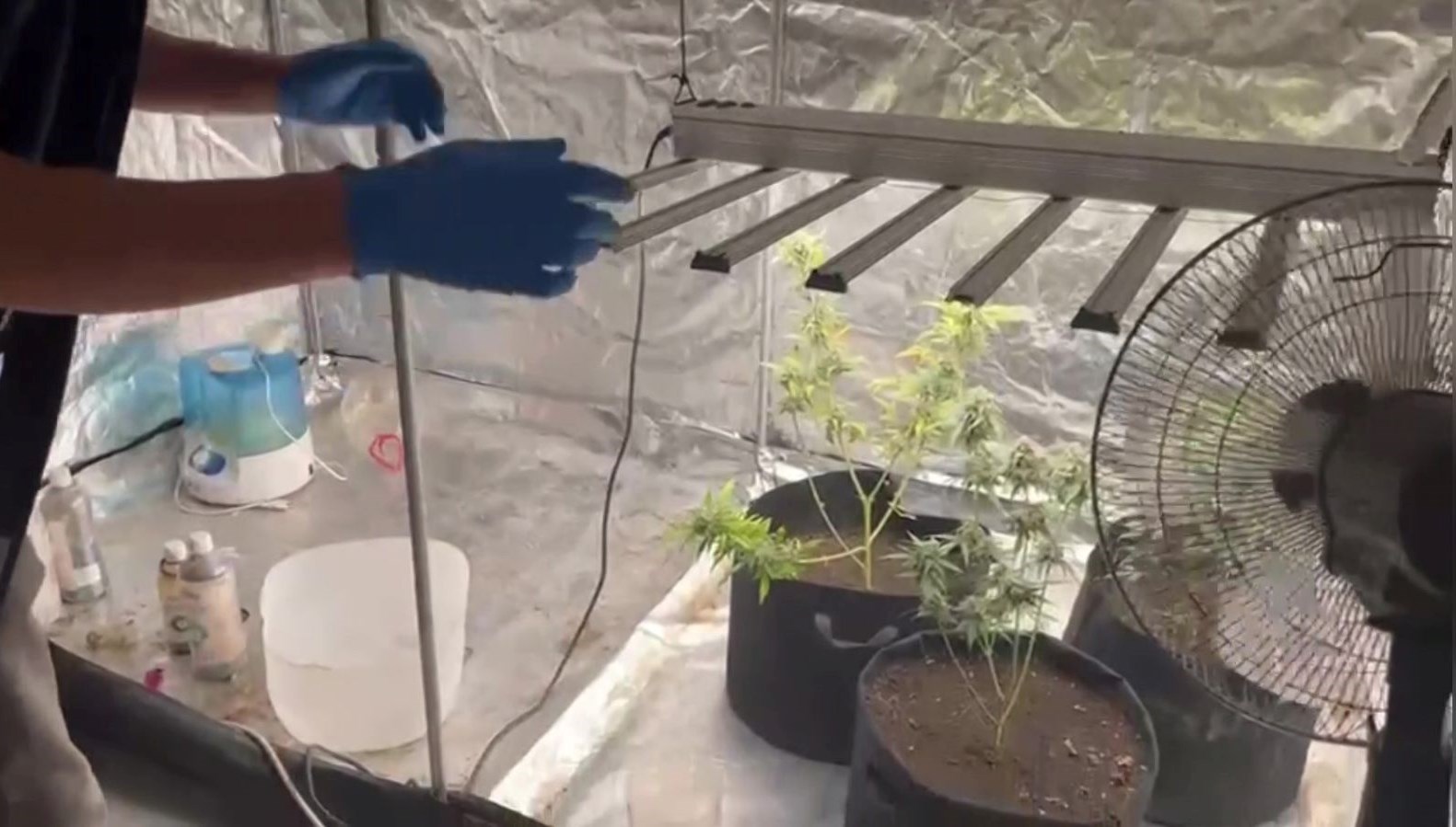 malatyada kilolarca kenevir ele gecirildi zjfpYsQK