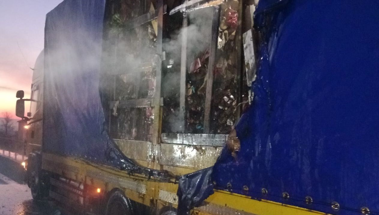 tirla birlikte kuruyemisler de yandi CPv5Ofga.jpg