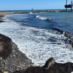 alanyada-sahildeki-goruntu-tedirgin-etti-yc3lswaf