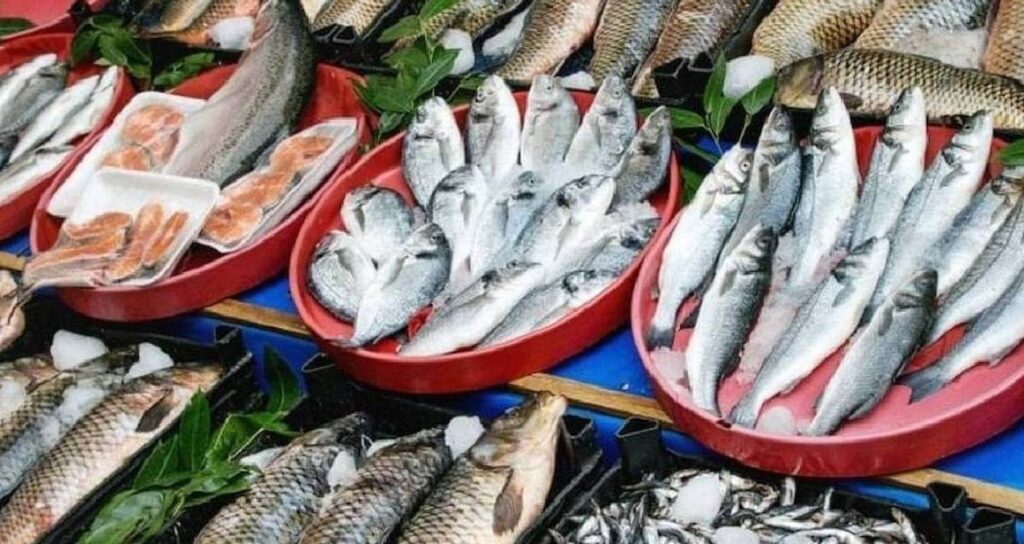 balik-yerken-iki-defa-dusunun-hepsinin-icine-sizdi-SunI4dMN